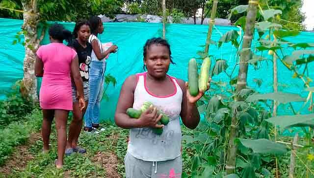 389270685795692859-colombia-huertas-familiares.jpg