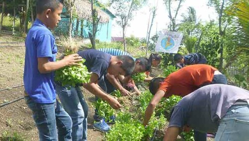 29983387517176805-guatemala-huertos.jpg