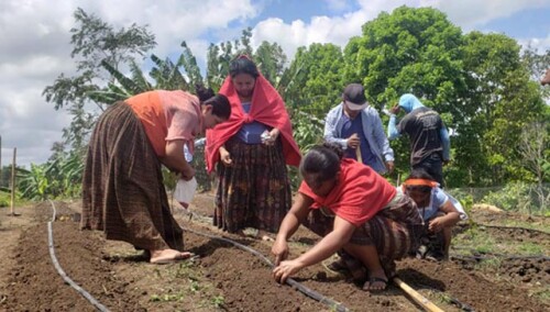 877206756245720674-guatemala-agua-microriego.jpg