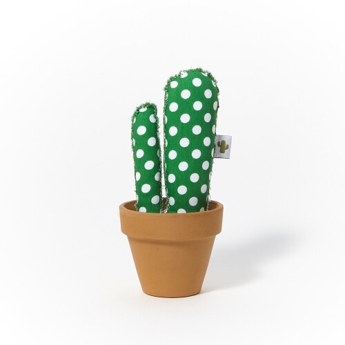 CACTUS KUSKA PEQUEÑO